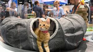 Global pet expo will be moving to a fully digital experience in 2021. Global Pet Expo The Show Must Go On Despite Covid 19