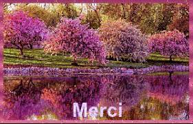 mERCI NATURE