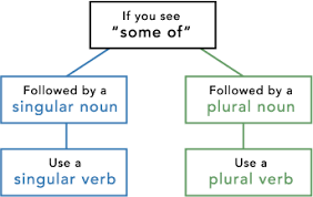 Using plural pronouns the right way can be a complicated concept to grasp at times. Subject Verb Agreement Plural Singular 300 Page Free Gmat Course