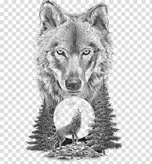 The choker and jacket are black, but the jacket's collar is gray. Watercolor Painting Gray Wolf Art Drawing Watercolor Fox Transparent Background Png Clipart Hiclipart
