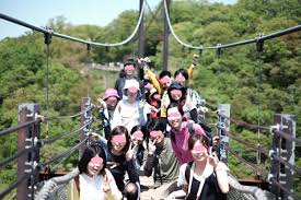 ハイキング サークル 大阪