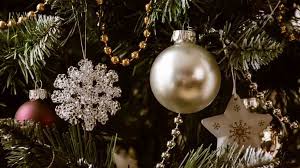16 christmas tree themes in 8 rooms over 4 years in 1 home on the heels of this past weekend's christmas home tour launch, i thought today, we'd take a look back over the past few years at some of the different christmas tree themes that have popped up on kn over the past four holiday seasons. Christmas 2020 Know Why People Decorate Christmas Tree On December 25 Every Year India News Zee News