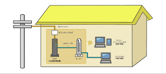 eo光