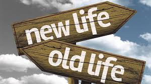 Use them in commercial designs under lifetime, perpetual & worldwide rights. Lifestyle Changes For The New Year
