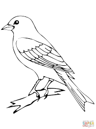 Perched Canary Bird Super Coloring Bird Coloring Pages Bird Drawings Drawing Pictures Of Birds