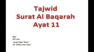 Tajwid surat yasin ayat 11. Tajwid Surat Al Baqarah Ayat 11 Cute766