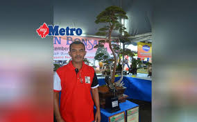 Maybe you would like to learn more about one of these? Bonsai Cucur Atap Tarik Perhatian