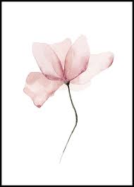 We did not find results for: Fiori Acquerello