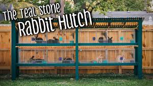 If this is the first time you're keeping rabbits, there are two books we recommend you to read to raise a happy and healthy herd of rabbits: 57 Free Rabbit Hutch Plans You Can Diy Within A Weekend The Self Sufficient Living
