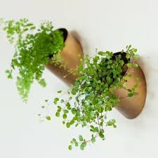 Hanging planters are perfect for small, compact spaces, as it taps into the vertical planting trend; Best Hanging Plant Holders Popsugar Home