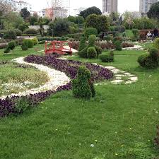 12.12.2020 14:05 konak'ta palmiyelere enjeksiyonlu koruma. Ozgurluk Parki Park In Kadikoy