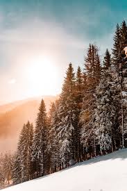 We have got you covered with hundreds of them. Nice Wallpapers Free Hd Download 500 Hq Unsplash