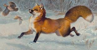 Ezra Tucker On Instagram Snow Day Acrylic On Canvas 24 X48 Wow Good Istagood Painting Acrylicpaint Acryli Fox Artwork Disney Drawings Sketches Fox Art