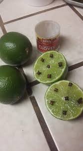Definitions by the largest idiom dictionary. Lemons Limes With Whole Cloves To Keep Flies Away Ill Try Any Thing Once Lime Keep Flies Away Lemon And Lime