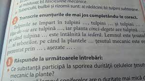 Introduse prin care, in aceeasi fraza. Transcrie EnunÈ›urile De Mai Jos Completandu Le Corect Brainly Ro