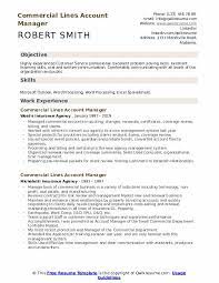These are professionals that use their knowledge in insurance and personal charm to improve on relationship between independent financial advisers and insurance brokers. Commercial Lines Account Manager Resume Samples Qwikresume