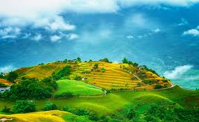 Nature & wildlife tours in taiwan. Desktop Hintergrundbilder Taiwan Natur Acker Hugel