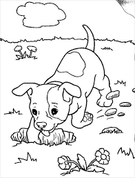 The breed is valued as a spirited pet and guardian of home and family. Realistic Puppy Colouring Pages Novocom Top