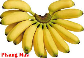 Pisang tanduk goreng yang manis dan enak,.di tambah toping keju leleh, membuat ketagihan di jalanan bandung. Inilah 9 Jenis Pisang Unggulan Yang Layak Untuk Dibudidayakan Di Indonesia Jualbenihmurah Com