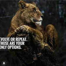 Do You Agree With This Hit A Like If You Agree Tag Someone Who Needs To See This Forgotten Quotes Inspirational Quotes About Success Inspirational Success