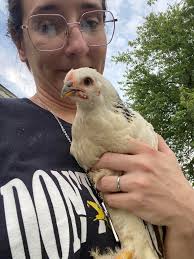 Hey gang! I'm commonly known as General Tso's Chicken in D2 and have been  featured in Lørelei Heilung's dance videos. Here's a video of my cats doing  what they do best |