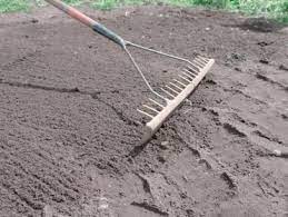 How To Prepare Soil For Planting A Lawn Soil For Plants Planting Grass Seeding Lawn