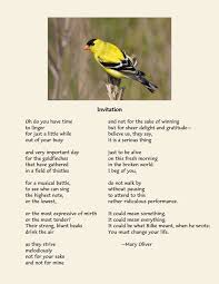 Pin By Leslie N On Mary Oliver Mary Oliver Poetry Words