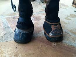 Fitting The Easyboot Glove Back Country Easycare Hoof Boot