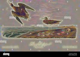 Image result for Geigeria schinzii