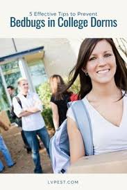 Get $100 off sentricon termite treatment or $50 off any termidor termite turned out to be rats. 32 Pest Facts Control Tips Ideas Safe Pest Control Pest Facts Pest Problem