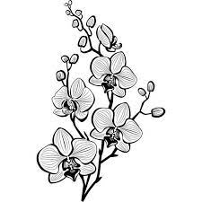  Sketch Drawing Of Flower Sketsa Bunga Gambar Bunga