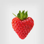 Strawberry DNA Extraction