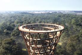 The walpole tree top walk is a must do for travelers and provides a suspended walking experience 40 meters off the ground. Effekt Unveils Design For 600m Long Treetop Walk Providing Minimum Footprint On The Preserved Forest