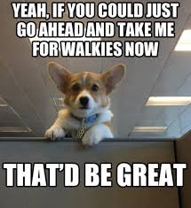Search, discover and share your favorite dog meme gifs. Dogs At Work Memes Fridayfrivolity Munofore