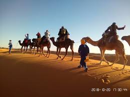 A camel ride in the sahara desert of morocco (near erg chebbi). When Thailand Meets Morocco Edelweiss Bike Travel