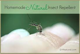 Homemade Mosquito Repellent Keep Mosquitos Bugs Away Naturally