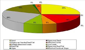 Phi Chart Presenting The Distribution Percentage Of Eco