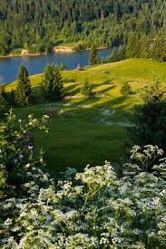 Colibita Lake Bistrita Nasaud Romania By Colin Crestin Www Romaniasfriends Com Romania Travel Beautiful Places Nature Visit Romania