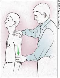 The Painful Shoulder Part I Clinical Evaluation