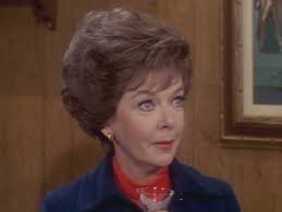 Lieber Onkel Bill [Limited Edition] [10 DVDs]: Amazon.de: Keith, Brian,  Garver, Kathy, Jones, Anissa, Whitaker, Johnny, Cabot, Sebastian,  Fedderson, Don, Hartmann, Edmund L., Keith, Brian, Garver, Kathy: DVD &  Blu-ray