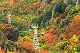 11月最佳賞楓時期的5大人氣景點｜絕景日本