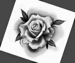 Pin By Skat Kneeshaw On Rose Sketch Rose Drawing Tattoo Realistic Rose Tattoo Rose Tattoo Design