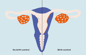 After ovulation, there would be less discharge. How Does Birth Control Impact Ovulation And Conception