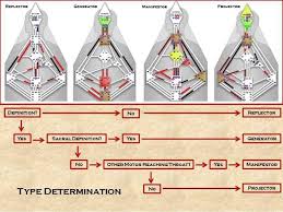 Find out your type and profile, understand how it affects your life! How To Make Correct Decisions Human Design System Authority Hierarchy Human Design Consulting Certification
