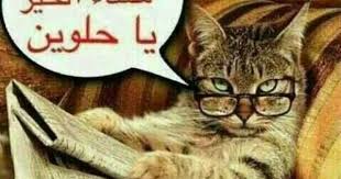 مساء الخير good morning images flowers book worms good morning good night