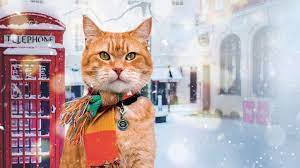 Street Cat Bob Is Back In Action
