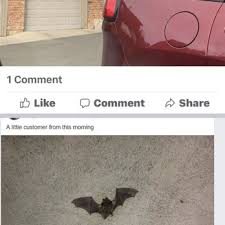 An excellent animal and pest deterrent that is made with natural ingredients and controls almost all type of animal and garden pest. Animal Pest Control Specialists 14 Photos Pest Control 3800 E 64th Ave Commerce City Co Phone Number
