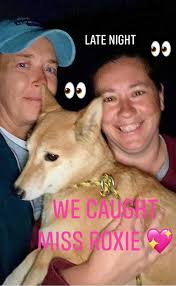 Roxie saved us from another balloon ROXIE PUPPY LIFE 💞🐕🐕