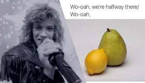 Meme Watch The Best Of The Whoa We Re Halfway There Tweets