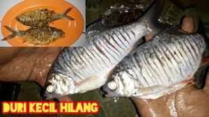 Tambahkan gula + garam + merica + santan dan putihan telur, proses lagi hingga tercampur rata. Cara Agar Duri Ikan Tawes Bader Hilang Youtube